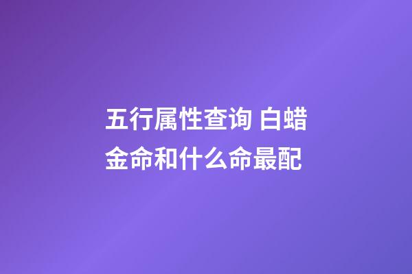 五行属性查询 白蜡金命和什么命最配